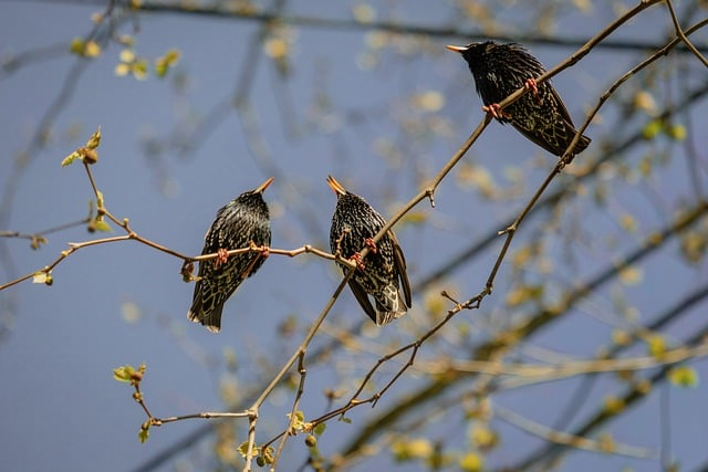 月薪3000也能起步新手怎样学理财的6个实用方法