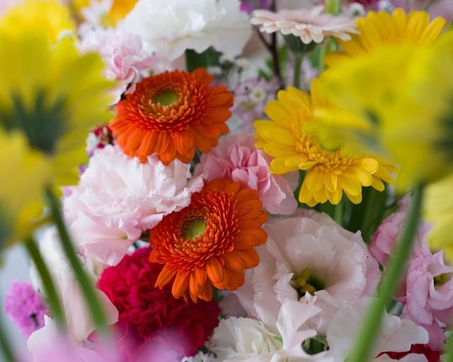 普通上班族必看：新手学理财先从哪开始，3步搭起你的财富底盘