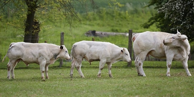 追到凌晨还不敢眨眼热门魔幻情景剧大结局隐藏了什么，答案比想象更扎心